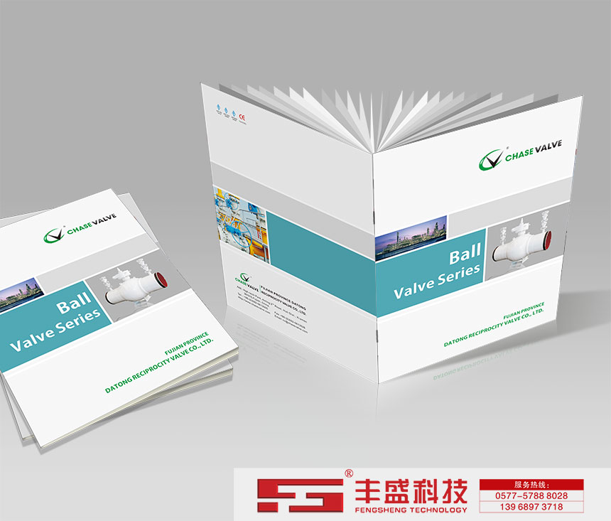 Fujian Province Datong Reciprocity Valve Co., Ltd.